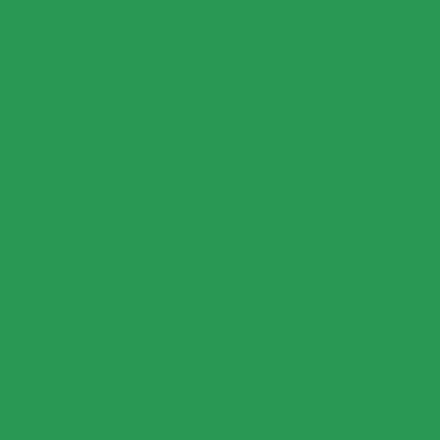 VALIDO LENTO FOREST GREEN PAPER BACKGROUND (1.35MX10M)