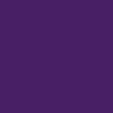 VALIDO LENTO GRAPE PURPLE PAPER BACKGROUND (2.7MX10M)