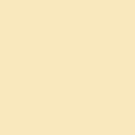 VALIDO LENTO PALE PEACH PAPER BACKGROUND (1.35mX10m)