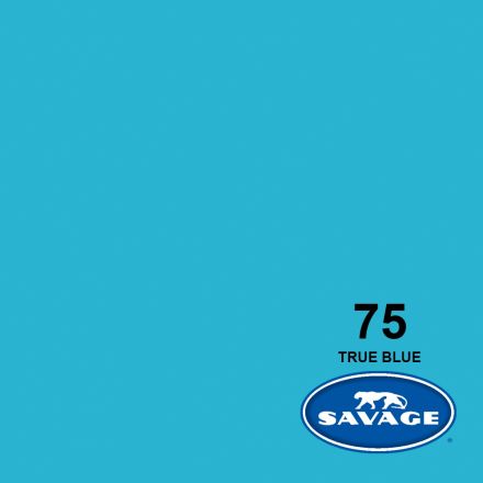 SAVAGE 75-12 WIDETONE SEAMLESS BACKGROUND PAPER TRUE BLUE (A1 2.72M X 11M)