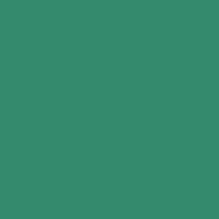 RJ PVC BACKGROUND - GREEN (70X140CM)