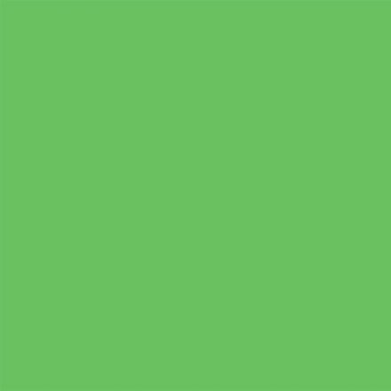 SAVAGE SD4624 SOLID COLOR MUSLIN GREEN 10 X 24